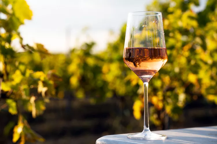 Affordable Wine Tasting Destinations in the USA